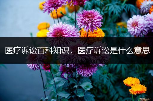 医疗诉讼百科知识，医疗诉讼是什么意思