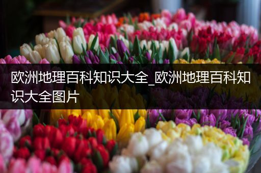 欧洲地理百科知识大全_欧洲地理百科知识大全图片