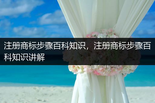 注册商标步骤百科知识，注册商标步骤百科知识讲解