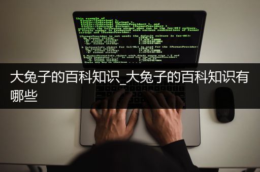 大兔子的百科知识_大兔子的百科知识有哪些