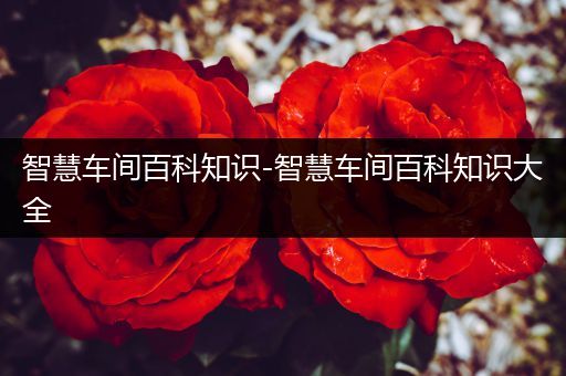智慧车间百科知识-智慧车间百科知识大全