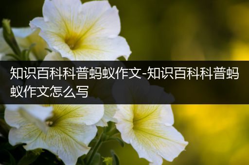 知识百科科普蚂蚁作文-知识百科科普蚂蚁作文怎么写