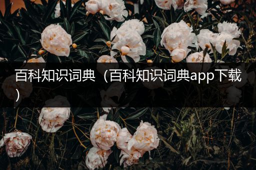 百科知识词典（百科知识词典app下载）