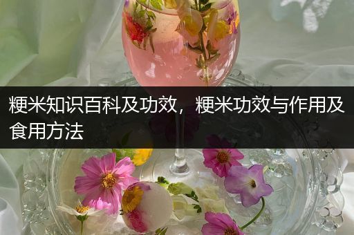 粳米知识百科及功效，粳米功效与作用及食用方法