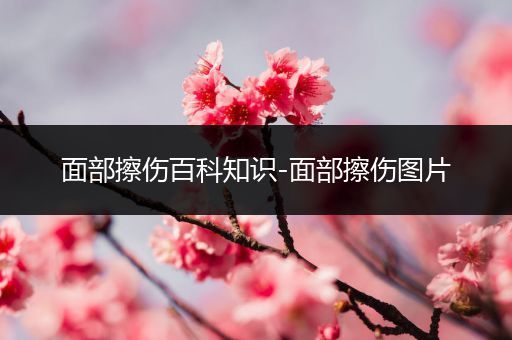 面部擦伤百科知识-面部擦伤图片