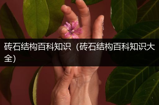 砖石结构百科知识（砖石结构百科知识大全）