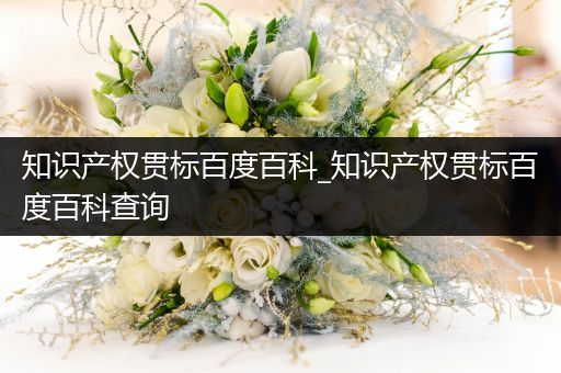 知识产权贯标百度百科_知识产权贯标百度百科查询