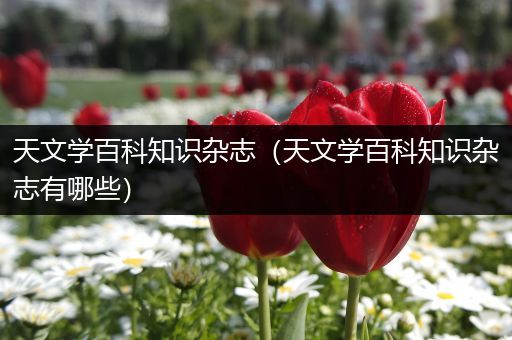 天文学百科知识杂志（天文学百科知识杂志有哪些）