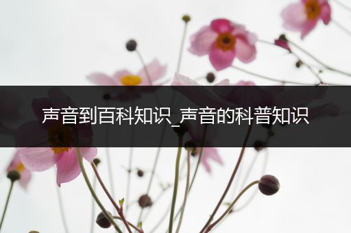 声音到百科知识_声音的科普知识