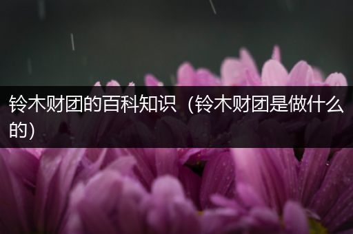 铃木财团的百科知识（铃木财团是做什么的）