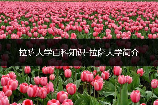 拉萨大学百科知识-拉萨大学简介