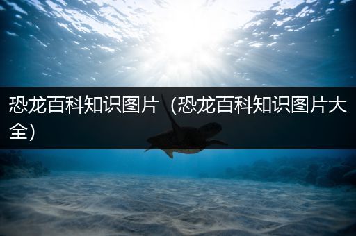 恐龙百科知识图片（恐龙百科知识图片大全）