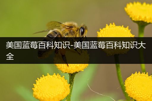 美国蓝莓百科知识-美国蓝莓百科知识大全