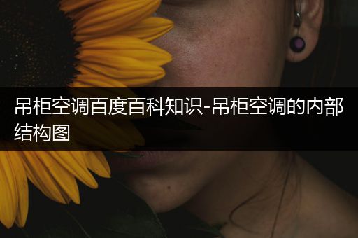 吊柜空调百度百科知识-吊柜空调的内部结构图