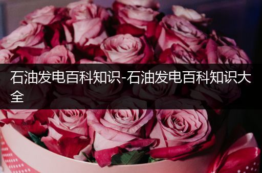 石油发电百科知识-石油发电百科知识大全