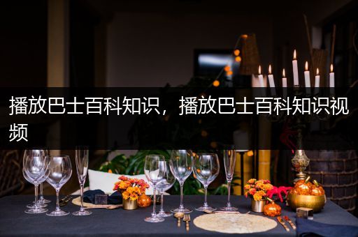 播放巴士百科知识，播放巴士百科知识视频