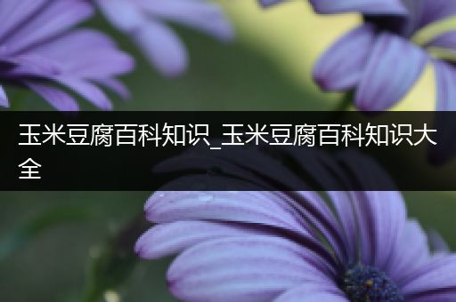 玉米豆腐百科知识_玉米豆腐百科知识大全