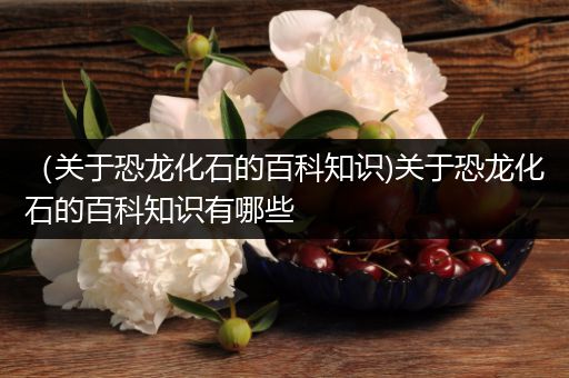 （关于恐龙化石的百科知识)关于恐龙化石的百科知识有哪些