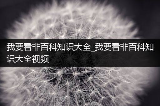 我要看非百科知识大全_我要看非百科知识大全视频