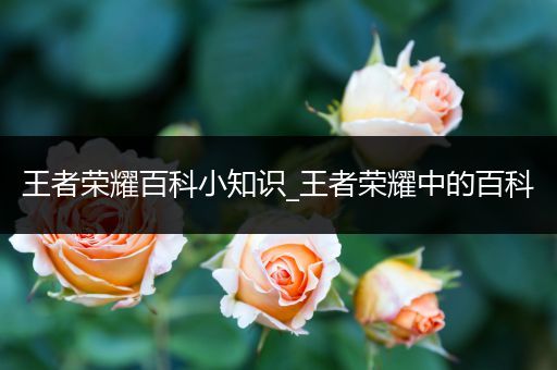 王者荣耀百科小知识_王者荣耀中的百科