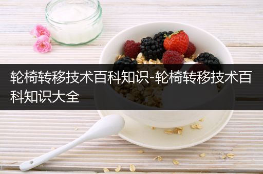 轮椅转移技术百科知识-轮椅转移技术百科知识大全