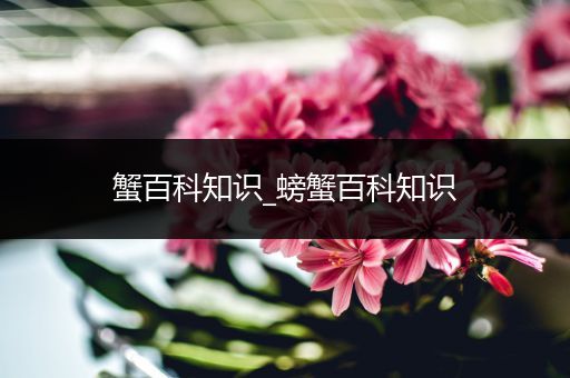 蟹百科知识_螃蟹百科知识