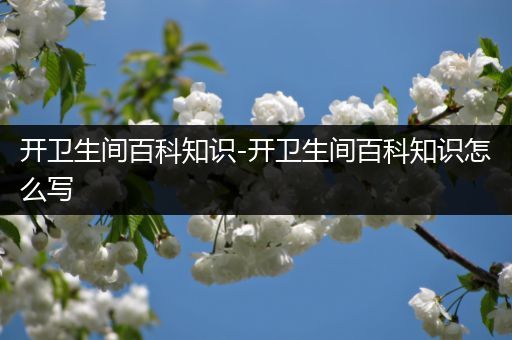 开卫生间百科知识-开卫生间百科知识怎么写