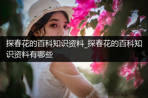 探春花的百科知识资料_探春花的百科知识资料有哪些