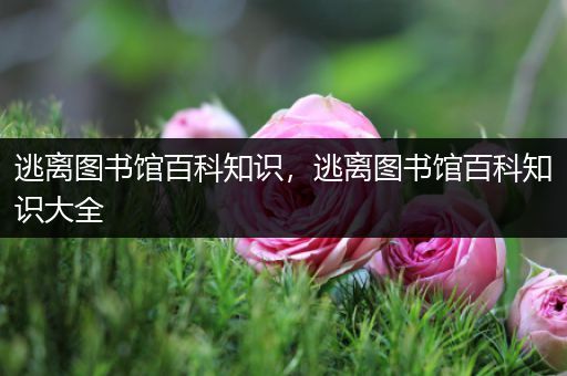 逃离图书馆百科知识，逃离图书馆百科知识大全