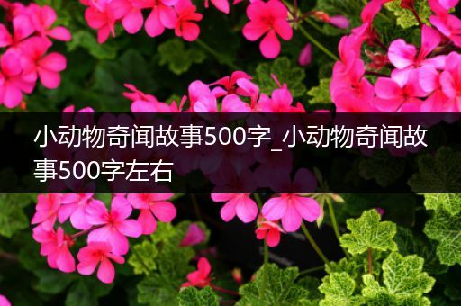 小动物奇闻故事500字_小动物奇闻故事500字左右