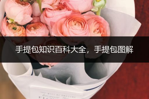 手提包知识百科大全，手提包图解