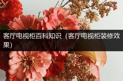 客厅电视柜百科知识（客厅电视柜装修效果）