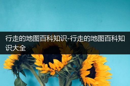 行走的地图百科知识-行走的地图百科知识大全