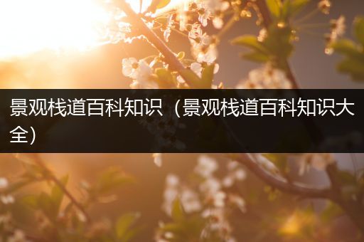 景观栈道百科知识（景观栈道百科知识大全）