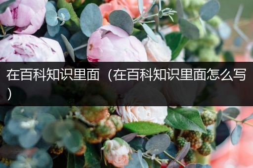 在百科知识里面（在百科知识里面怎么写）