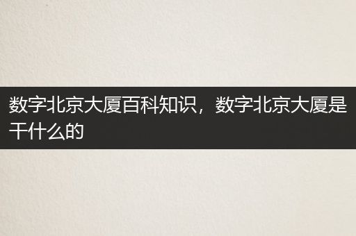 数字北京大厦百科知识，数字北京大厦是干什么的