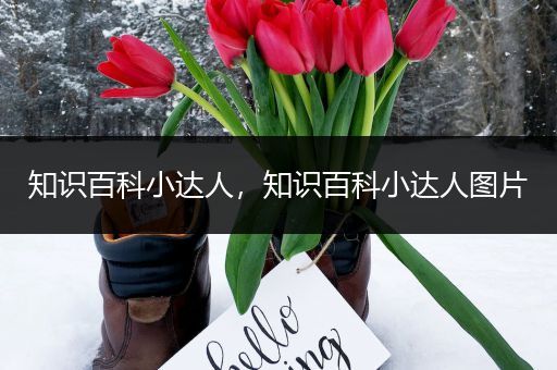 知识百科小达人，知识百科小达人图片