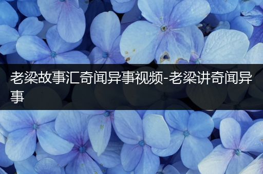老梁故事汇奇闻异事视频-老梁讲奇闻异事