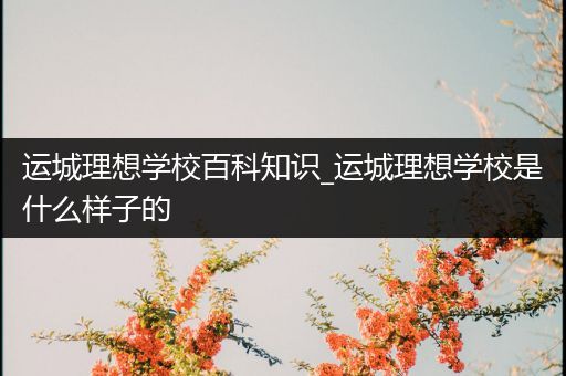 运城理想学校百科知识_运城理想学校是什么样子的