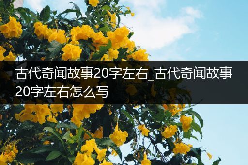 古代奇闻故事20字左右_古代奇闻故事20字左右怎么写