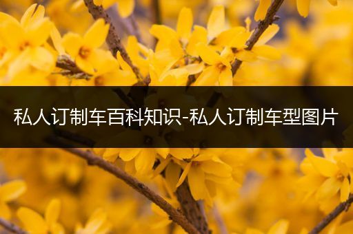 私人订制车百科知识-私人订制车型图片