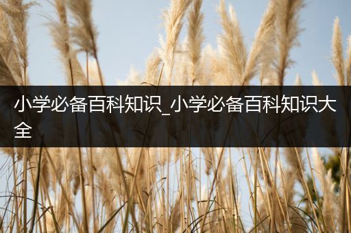 小学必备百科知识_小学必备百科知识大全