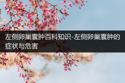 左侧卵巢囊肿百科知识-左侧卵巢囊肿的症状与危害