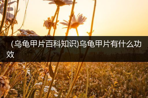 （乌龟甲片百科知识)乌龟甲片有什么功效