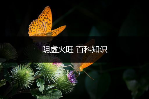 阴虚火旺 百科知识