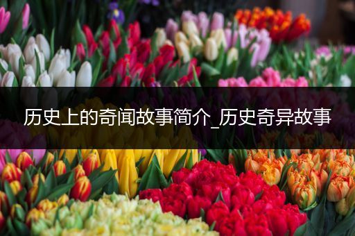 历史上的奇闻故事简介_历史奇异故事