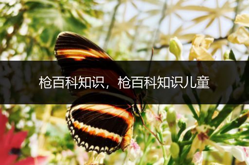枪百科知识，枪百科知识儿童