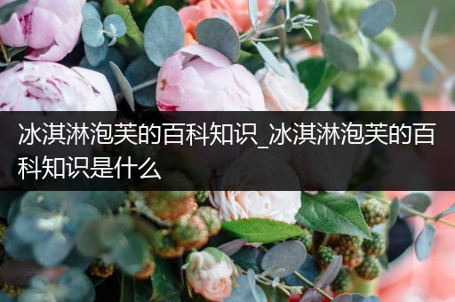 冰淇淋泡芙的百科知识_冰淇淋泡芙的百科知识是什么