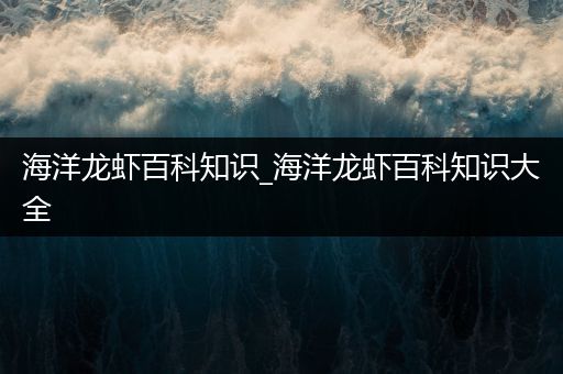 海洋龙虾百科知识_海洋龙虾百科知识大全
