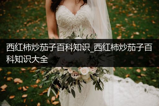 西红柿炒茄子百科知识_西红柿炒茄子百科知识大全